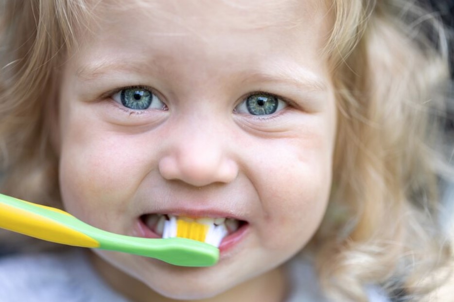 Baby Dental Care: Proper Ways to Clean Your Infant’s and Toddler’s Teeth and Gums